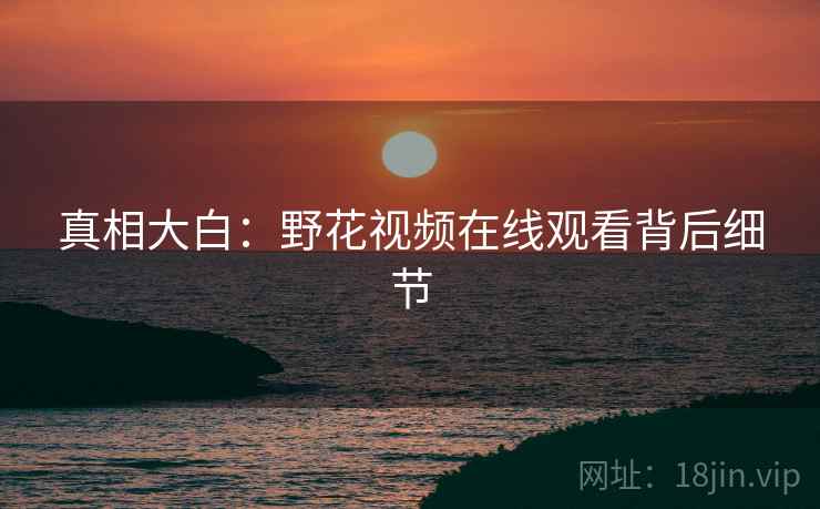 真相大白：野花视频在线观看背后细节
