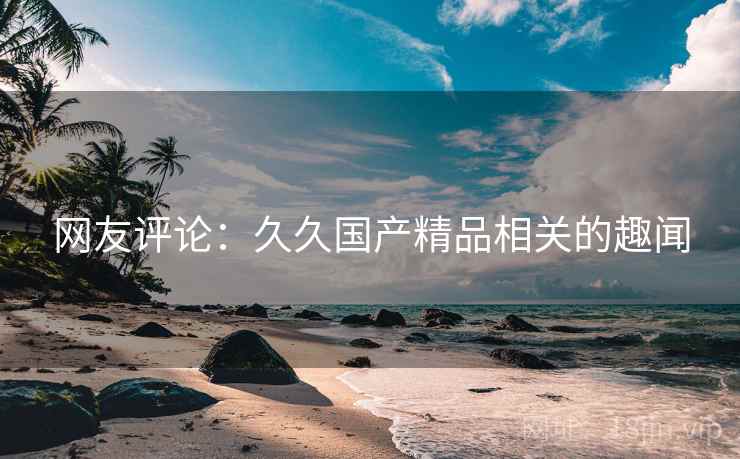 网友评论：久久国产精品相关的趣闻