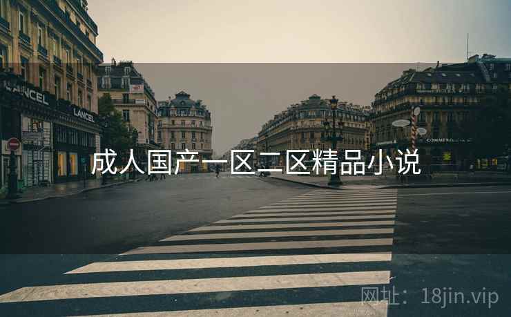 成人国产一区二区精品小说
