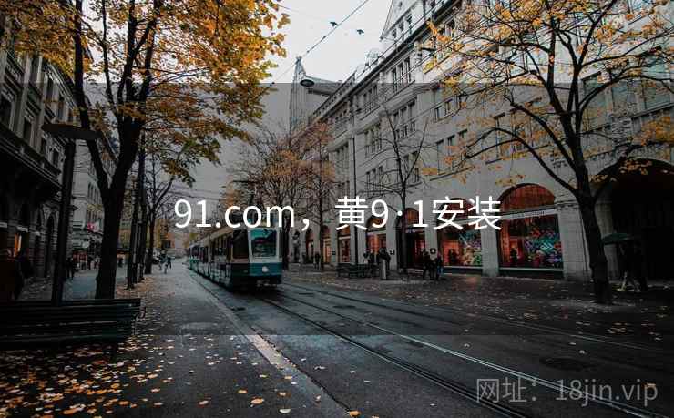 91.com，黄9·1安装