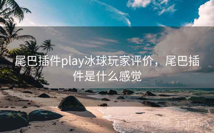 尾巴插件play冰球玩家评价，尾巴插件是什么感觉