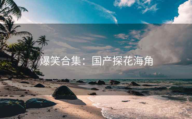 爆笑合集：国产探花海角