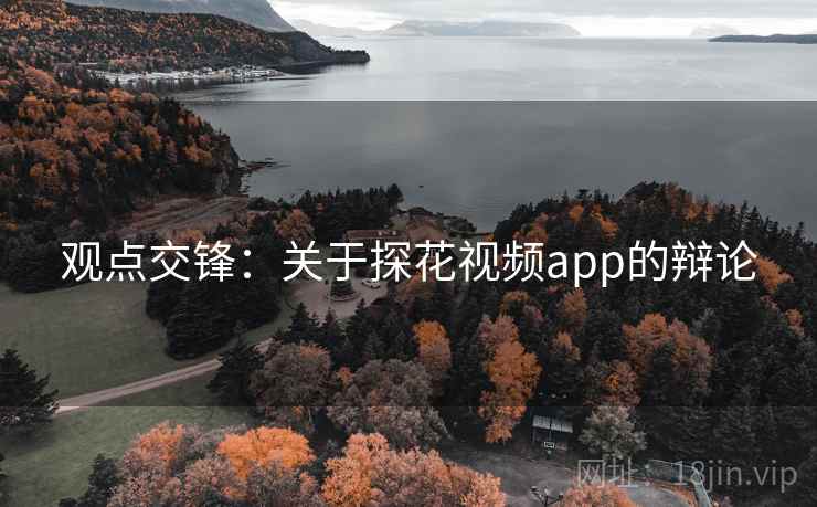 观点交锋：关于探花视频app的辩论