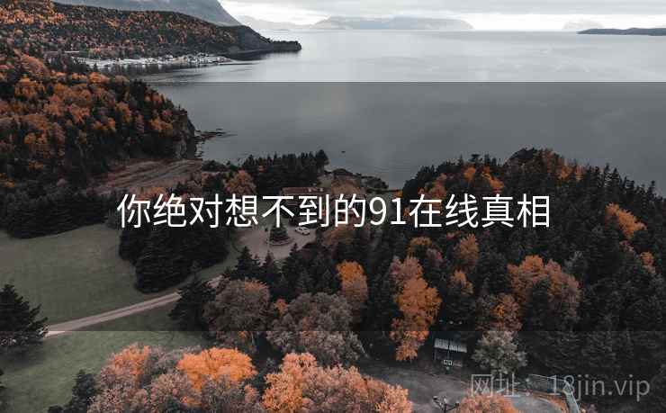 你绝对想不到的91在线真相